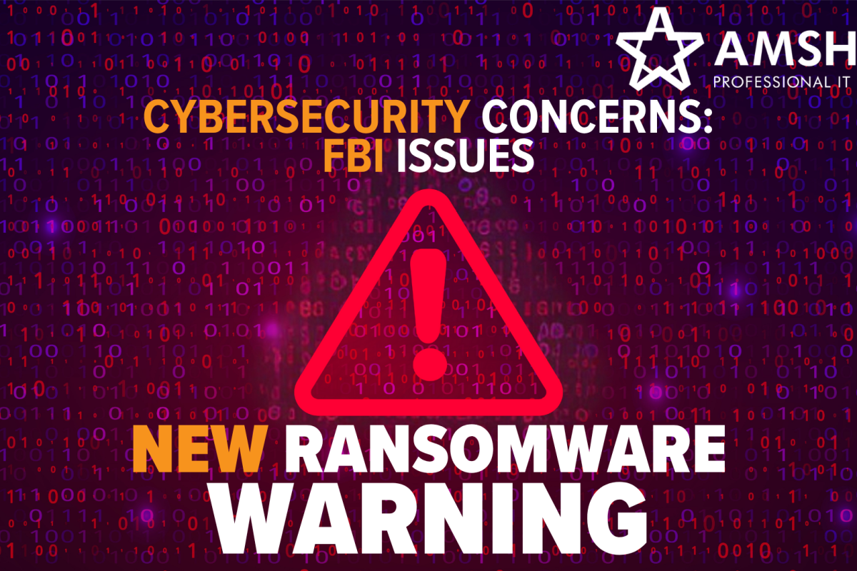 Cybersecurity Concerns